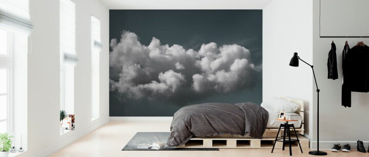 楽天市場 雲 空 紺 ネイビーの壁紙 輸入 カスタム壁紙 Photowall Clouds 貼ってはがせるフリース壁紙 不織布 海外取り寄せのため1カ月程度でお届け 代引き 後払い不可 壁紙屋本舗 カベガミヤホンポ