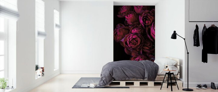 楽天市場 バラ 花 赤 レッド ピンク 黒 ブラックの壁紙 輸入 カスタム壁紙 Photowall Cabbage Roses 貼ってはがせるフリース壁紙 不織布 海外取り寄せのため1カ月程度でお届け 代引き 後払い不可 壁紙屋本舗 カベガミヤホンポ
