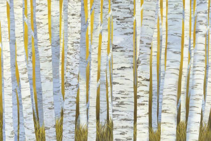 楽天市場 森 木 シラカバ イラストの壁紙 輸入 カスタム壁紙 Photowall Aspen Grove 貼ってはがせるフリース壁紙 不織布 海外取り寄せのため1カ月程度でお届け 代引き 後払い不可 壁紙屋本舗 カベガミヤホンポ