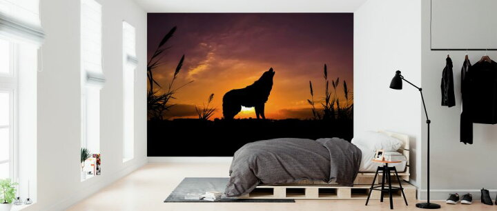 楽天市場 狼 オオカミ 動物 遠吠え シルエット 夕焼けの壁紙 輸入 カスタム壁紙 Photowall Wolf Sunset 貼ってはがせるフリース壁紙 不織布 海外取り寄せのため1カ月程度でお届け 代引き 後払い不可 壁紙屋本舗 カベガミヤホンポ