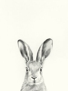 白 かわいい 壁紙の人気商品 通販 価格比較 価格 Com