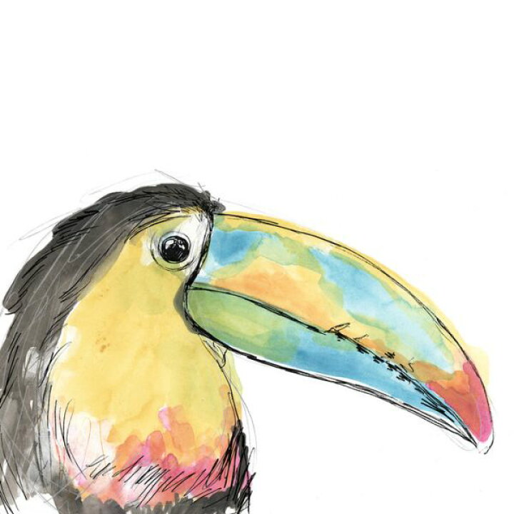 楽天市場 オオハシ 鳥 トロピカル イラスト 水彩画の壁紙 輸入 カスタム壁紙 Photowall Tropical Bird Portrait 貼ってはがせるフリース壁紙 不織布 海外取り寄せのため1カ月程度でお届け 代引き 後払い不可 壁紙屋本舗 カベガミヤホンポ