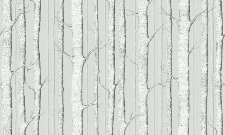 楽天市場 木 木立 森 ナチュラルの壁紙 輸入 カスタム壁紙 Photowall Birch Trees Soft Green 貼ってはがせるフリース壁紙 不織布 海外取り寄せのため1カ月程度でお届け 代引き 後払い不可 壁紙 屋本舗 カベガミヤホンポ