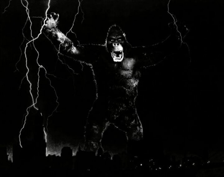楽天市場 キングコング 映画 モノクロ 白黒の壁紙 輸入 カスタム壁紙 Photowall King Kong Infographics 貼ってはがせるフリース壁紙 不織布 海外取り寄せのため1カ月程度でお届け 代引き 後払い不可 壁紙 屋本舗 カベガミヤホンポ