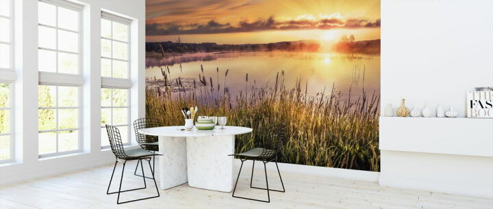 楽天市場 水辺 草 光 太陽 日光 夕日 夕焼け 景色の壁紙 輸入 カスタム壁紙 Photowall Sunset And Grass 貼ってはがせるフリース壁紙 不織布 海外取り寄せのため1カ月程度でお届け 代引き 後払い不可 壁紙 屋本舗 カベガミヤホンポ 楽天市場 水辺 草 光 太陽 日光 夕日 夕焼け 景色の壁紙 輸入 カスタム壁紙 Photowall Sunset And Grass 貼ってはがせるフリース壁紙 不織布 海外取り寄せのため1カ月程度でお届け 代引き 後払い不可 壁紙 屋本舗 カベガミヤホンポ