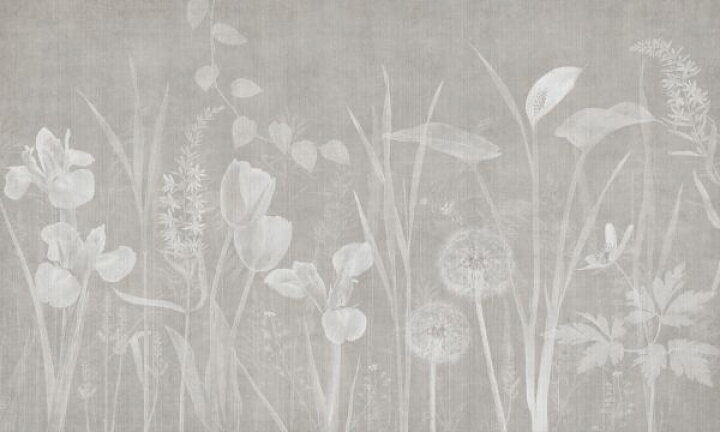 楽天市場 花 イラスト ナチュラル ベージュの壁紙 輸入 カスタム壁紙 Photowall Dandelion Field Ash Hazel 貼ってはがせるフリース壁紙 不織布 海外取り寄せのため1カ月程度でお届け 代引き 後払い不可 壁紙 屋本舗 カベガミヤホンポ