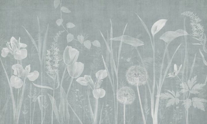 楽天市場 花 イラスト ナチュラル 緑 グリーンの壁紙 輸入 カスタム壁紙 Photowall Dandelion Field Emerald 貼ってはがせるフリース壁紙 不織布 海外取り寄せのため1カ月程度でお届け 代引き 後払い不可 壁紙 屋本舗 カベガミヤホンポ