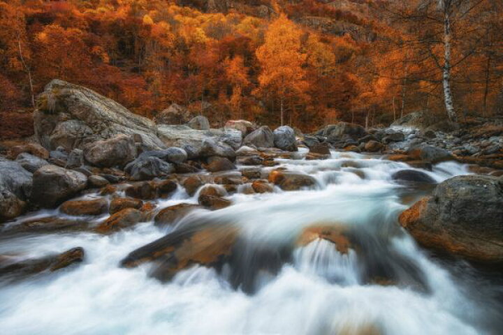 楽天市場 森 秋 紅葉 川 自然 風景の壁紙 輸入 カスタム壁紙 Photowall Relax 貼ってはがせるフリース壁紙 不織布 海外取り寄せのため1カ月程度でお届け 代引き 後払い不可 壁紙屋本舗 カベガミヤホンポ