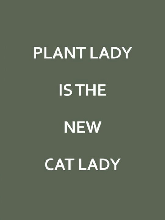 楽天市場 タイポグラフィー アルファベット モダン モスグリーン 深緑の壁紙 輸入 カスタム壁紙 Photowall Plant Lady 貼ってはがせるフリース壁紙 不織布 海外取り寄せのため1カ月程度でお届け 代引き 後払い不可 壁紙 屋本舗 カベガミヤホンポ