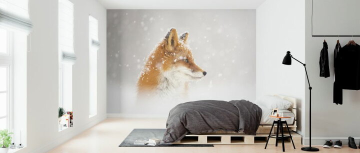 楽天市場 狐 キツネ 動物 雪 白 ホワイトの壁紙 輸入 カスタム壁紙 Photowall Snow Is Fallinga 貼ってはがせるフリース壁紙 不織布 海外取り寄せのため1カ月程度でお届け 代引き 後払い不可 壁紙屋本舗 カベガミヤホンポ 楽天市場 狐 キツネ 動物 雪 白 ホワイトの壁紙 輸入 カスタム壁紙 Photowall Snow Is Fallinga 貼ってはがせるフリース壁紙 不織布 海外取り寄せのため1カ月程度でお届け 代引き 後払い不可 壁紙屋本舗 カベガミヤホンポ