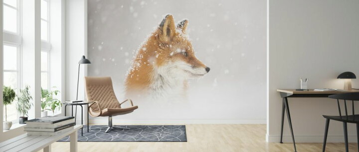 楽天市場 狐 キツネ 動物 雪 白 ホワイトの壁紙 輸入 カスタム壁紙 Photowall Snow Is Fallinga 貼ってはがせるフリース壁紙 不織布 海外取り寄せのため1カ月程度でお届け 代引き 後払い不可 壁紙屋本舗 カベガミヤホンポ 楽天市場 狐 キツネ 動物 雪 白 ホワイトの壁紙 輸入 カスタム壁紙 Photowall Snow Is Fallinga 貼ってはがせるフリース壁紙 不織布 海外取り寄せのため1カ月程度でお届け 代引き 後払い不可 壁紙屋本舗 カベガミヤホンポ