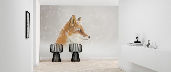 楽天市場 狐 キツネ 動物 雪 白 ホワイトの壁紙 輸入 カスタム壁紙 Photowall Snow Is Fallinga 貼ってはがせるフリース壁紙 不織布 海外取り寄せのため1カ月程度でお届け 代引き 後払い不可 壁紙屋本舗 カベガミヤホンポ