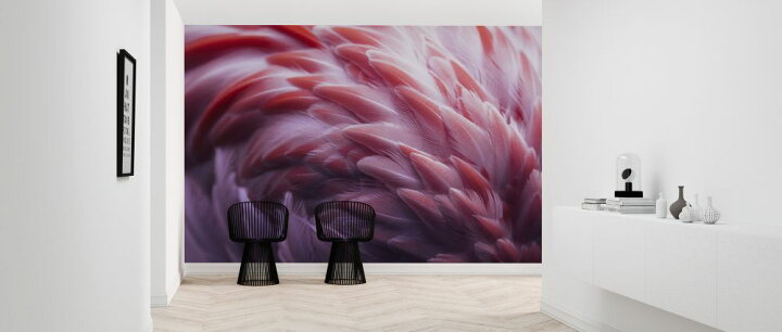 楽天市場 フラミンゴ 鳥 羽根 羽毛 ピンクの壁紙 輸入 カスタム壁紙 Photowall Flamingo 貼ってはがせるフリース壁紙 不織布 海外取り寄せのため1カ月程度でお届け 代引き 後払い不可 壁紙屋本舗 カベガミヤホンポ