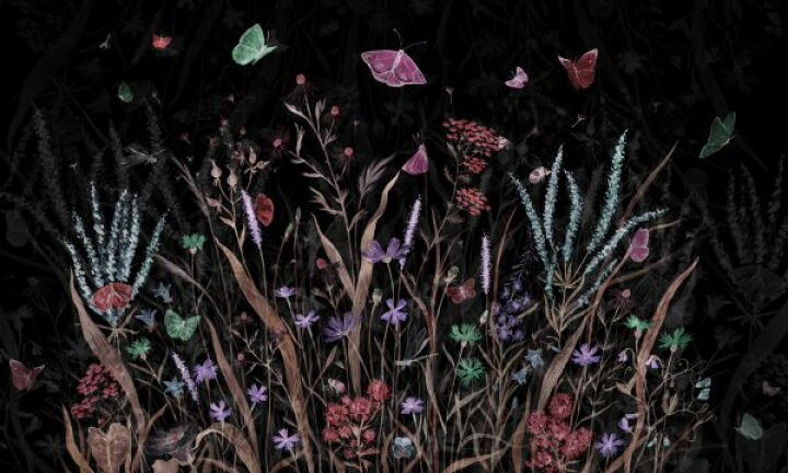楽天市場 花 蝶 ちょうちょ イラスト 黒 ブラックの壁紙 輸入 カスタム壁紙 Photowall Into The Garden Dark 貼ってはがせるフリース壁紙 不織布 海外取り寄せのため1カ月程度でお届け 代引き 後払い不可 壁紙 屋本舗 カベガミヤホンポ