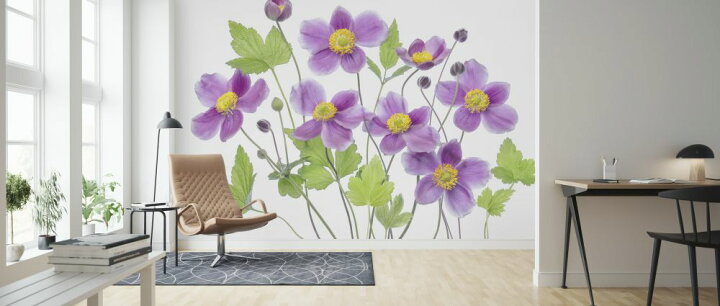 楽天市場 アネモネ 花 紫 パープルの壁紙 輸入 カスタム壁紙 Photowall Anemone Hadspen Abundance 貼ってはがせるフリース壁紙 不織布 海外取り寄せのため1カ月程度でお届け 代引き 後払い不可 壁紙 屋本舗 カベガミヤホンポ 楽天市場 アネモネ 花 紫 パープルの壁紙 輸入 カスタム壁紙 Photowall Anemone Hadspen Abundance 貼ってはがせるフリース壁紙 不織布 海外取り寄せのため1カ月程度でお届け 代引き 後払い不可 壁紙 屋本舗 カベガミヤホンポ