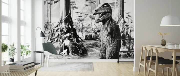 楽天市場 恐竜 アドベンチャー 映画 モノクロ モノトーンの壁紙 輸入 カスタム壁紙 Photowall Land Unknown 貼ってはがせるフリース壁紙 不織布 海外取り寄せのため1カ月程度でお届け 代引き 後払い不可 壁紙 屋本舗 カベガミヤホンポ