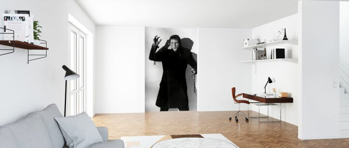 楽天市場 フランケンシュタインの逆襲 ホラー映画 クリストファー リーの壁紙 輸入 カスタム壁紙 Photowall Curse Of Frankenstein Christopher Lee 貼ってはがせるフリース壁紙 不織布 海外取り寄せのため1カ月程度でお届け 代引き 後払い不可