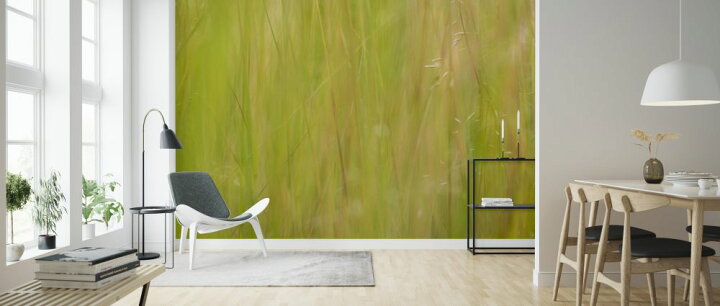 楽天市場 草 葉 植物 緑 グリーンの壁紙 輸入 カスタム壁紙 Photowall Summer Grass 247 貼ってはがせるフリース壁紙 不織布 海外取り寄せのため1カ月程度でお届け 代引き 後払い不可 壁紙屋本舗 カベガミヤホンポ