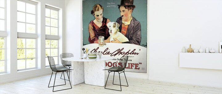 楽天市場 犬の生活 チャップリン 映画 ポスターの壁紙 輸入 カスタム壁紙 Photowall Dogs Life Infographics 貼ってはがせるフリース壁紙 不織布 海外取り寄せのため1カ月程度でお届け 代引き 後払い不可 壁紙 屋本舗 カベガミヤホンポ