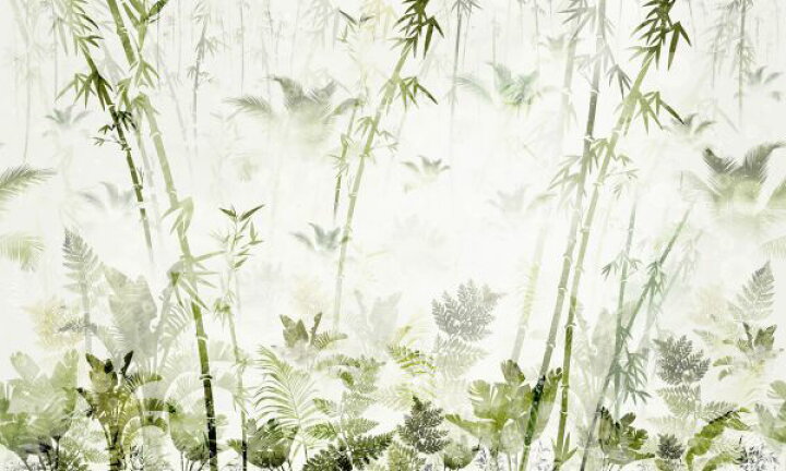 楽天市場 竹 シダ 植物 森 イラスト 緑 グリーンの壁紙 輸入 カスタム壁紙 Photowall Bamboo Greenery 貼ってはがせるフリース壁紙 不織布 海外取り寄せのため1カ月程度でお届け 代引き 後払い不可 壁紙 屋本舗 カベガミヤホンポ