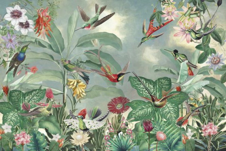 楽天市場 鳥 植物 トロピカル ボタニカル イラスト 緑 グリーンの壁紙 輸入 カスタム壁紙 Photowall Birds Of Paradise 貼ってはがせるフリース壁紙 不織布 海外取り寄せのため1カ月程度でお届け 代引き 後払い不可 壁紙 屋本舗 カベガミヤホンポ 楽天市場 鳥 植物 トロピカル ボタニカル イラスト 緑 グリーンの壁紙 輸入 カスタム壁紙 Photowall Birds Of Paradise 貼ってはがせるフリース壁紙 不織布 海外取り寄せのため1カ月程度でお届け 代引き 後払い不可 壁紙 屋本舗 カベガミヤホンポ