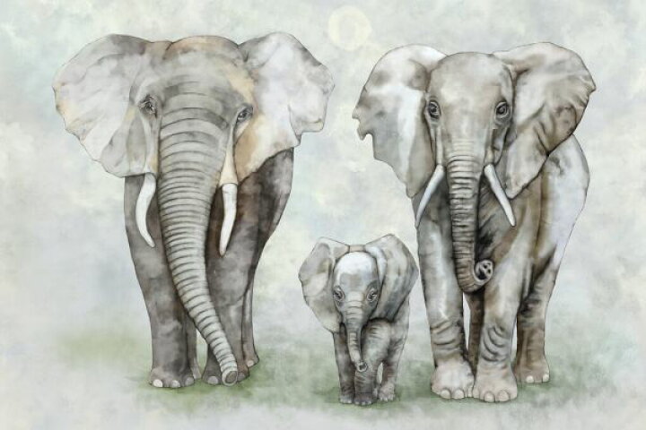 楽天市場 水彩画 象 ゾウ イラストの壁紙 輸入 カスタム壁紙 Photowall Elephant Family 貼ってはがせるフリース壁紙 不織布 海外取り寄せのため1カ月程度でお届け 代引き 後払い不可 壁紙屋本舗 カベガミヤホンポ