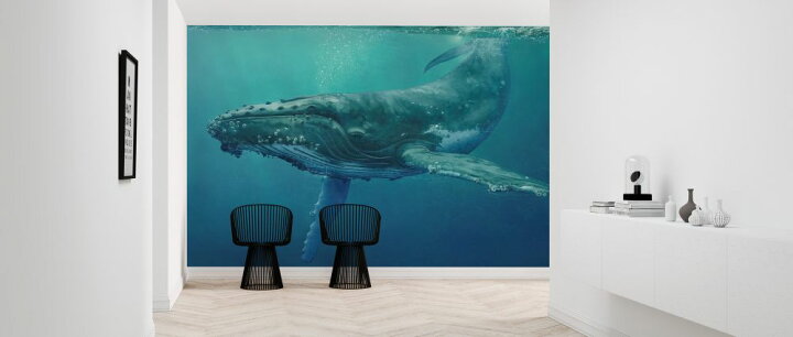 楽天市場 クジラ 海 水中 イラスト 水色 青 ブルーの壁紙 輸入 カスタム壁紙 Photowall Whale 貼ってはがせるフリース壁紙 不織布 海外取り寄せのため1カ月程度でお届け 代引き 後払い不可 壁紙屋本舗 カベガミヤホンポ