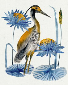 楽天市場 イラスト 鳥 壁紙の通販