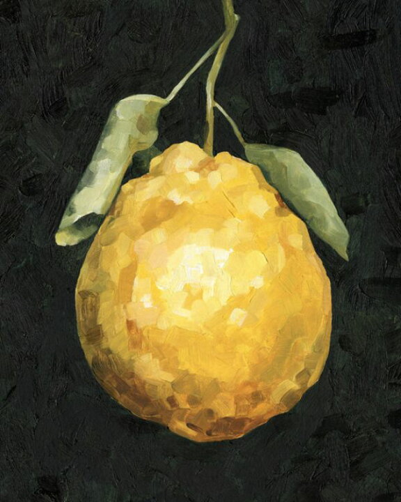 楽天市場 レモン イラスト 絵画 黄色 イエロー 黒 ブラックの壁紙 輸入 カスタム壁紙 Photowall Dark Lemon Ii 貼ってはがせるフリース壁紙 不織布 海外取り寄せのため1カ月程度でお届け 代引き 後払い不可 壁紙 屋本舗 カベガミヤホンポ