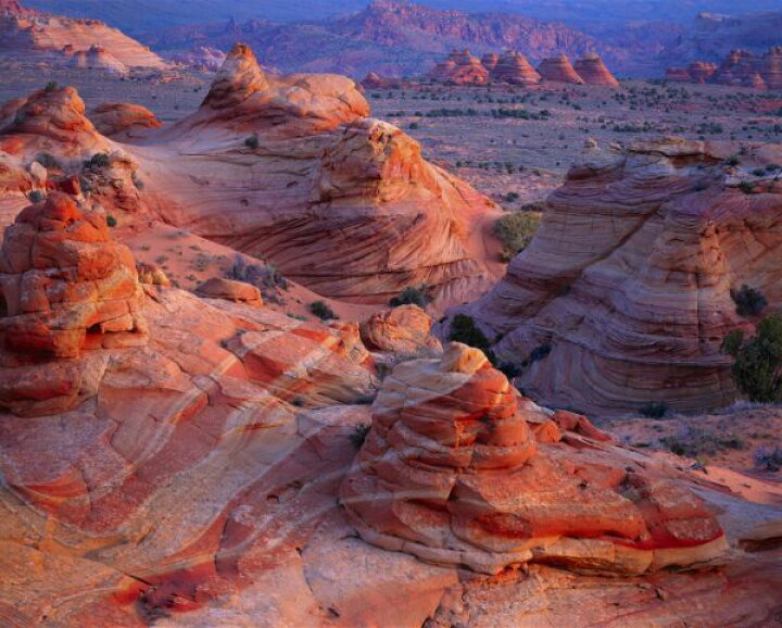 楽天市場 岩 山 地層 自然 風景 オレンジ 赤 レッドの壁紙 輸入 カスタム壁紙 Photowall Eroded Sandstone 貼ってはがせるフリース壁紙 不織布 海外取り寄せのため1カ月程度でお届け 代引き 後払い不可 壁紙 屋本舗 カベガミヤホンポ