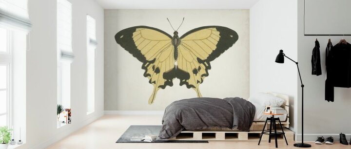 楽天市場 蝶 ちょうちょ イラスト 黄色 イエローの壁紙 輸入 カスタム壁紙 Photowall Beautiful Butterfly 貼ってはがせるフリース壁紙 不織布 海外取り寄せのため1カ月程度でお届け 代引き 後払い不可 壁紙 屋本舗 カベガミヤホンポ 楽天市場 蝶 ちょうちょ イラスト 黄色 イエローの壁紙 輸入 カスタム壁紙 Photowall Beautiful Butterfly 貼ってはがせるフリース壁紙 不織布 海外取り寄せのため1カ月程度でお届け 代引き 後払い不可 壁紙 屋本舗 カベガミヤホンポ