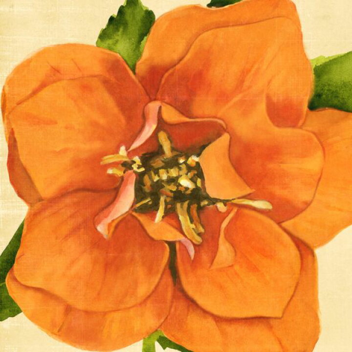楽天市場 花 イラスト オレンジの壁紙 輸入 カスタム壁紙 Photowall Copper Petals 貼ってはがせるフリース壁紙 不織布 海外取り寄せのため1カ月程度でお届け 代引き 後払い不可 壁紙屋本舗 カベガミヤホンポ 楽天市場 花 イラスト オレンジの壁紙 輸入 カスタム壁紙 Photowall Copper Petals 貼ってはがせるフリース壁紙 不織布 海外取り寄せのため1カ月程度でお届け 代引き 後払い不可 壁紙屋本舗 カベガミヤホンポ