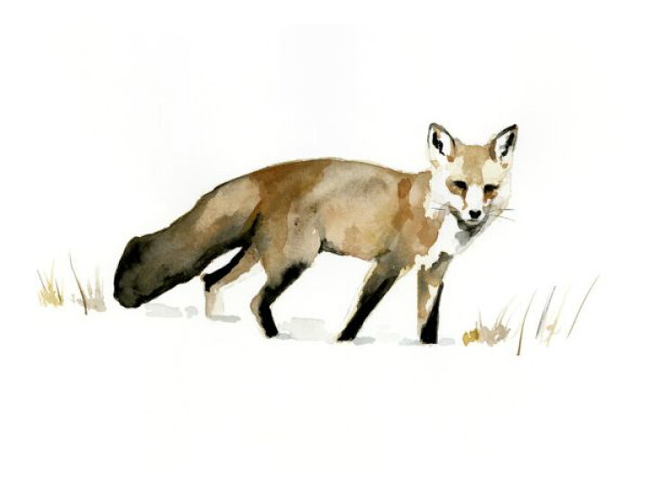 楽天市場 狐 キツネ 動物 イラスト 水彩画の壁紙 輸入 カスタム壁紙 Photowall Winter Fox 貼ってはがせるフリース壁紙 不織布 海外取り寄せのため1カ月程度でお届け 代引き 後払い不可 壁紙屋本舗 カベガミヤホンポ 楽天市場 狐 キツネ 動物 イラスト 水彩画の壁紙 輸入 カスタム壁紙 Photowall Winter Fox 貼ってはがせるフリース壁紙 不織布 海外取り寄せのため1カ月程度でお届け 代引き 後払い不可 壁紙屋本舗 カベガミヤホンポ