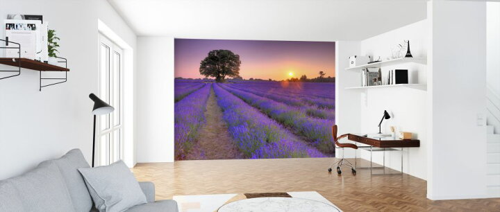 楽天市場 ラベンダー畑 花 木 空 夕日 紫 パープルの壁紙 輸入 カスタム壁紙 Photowall Lavender 貼ってはがせるフリース壁紙 不織布 海外取り寄せのため1カ月程度でお届け 代引き 後払い不可 壁紙屋本舗 カベガミヤホンポ 楽天市場 ラベンダー畑 花 木 空 夕日 紫 パープルの壁紙 輸入 カスタム壁紙 Photowall Lavender 貼ってはがせるフリース壁紙 不織布 海外取り寄せのため1カ月程度でお届け 代引き 後払い不可 壁紙屋本舗 カベガミヤホンポ