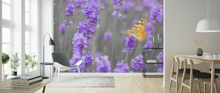 楽天市場 ラベンダー 花 蝶 ちょうちょ 紫 パープルの壁紙 輸入 カスタム壁紙 Photowall Lavender 貼ってはがせるフリース壁紙 不織布 海外取り寄せのため1カ月程度でお届け 代引き 後払い不可 壁紙屋本舗 カベガミヤホンポ