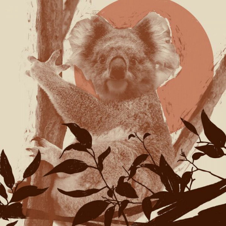 楽天市場 コアラ 動物 イラスト コラージュ 赤 レッドの壁紙 輸入 カスタム壁紙 Photowall Pop Art Koala 貼ってはがせるフリース壁紙 不織布 海外取り寄せのため1カ月程度でお届け 代引き不可 壁紙屋本舗 カベガミヤホンポ
