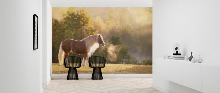 楽天市場 馬 ウマ 動物 木の壁紙 輸入 カスタム壁紙 Photowall Golden Lit Horse 貼ってはがせるフリース壁紙 不織布 海外取り寄せのため1カ月程度でお届け 代引き 後払い不可 壁紙屋本舗 カベガミヤホンポ