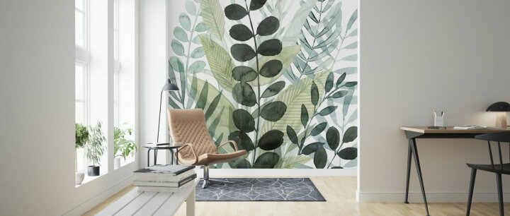 楽天市場 葉 植物 ボタニカル 水彩画 イラスト 緑 グリーンの壁紙 輸入 カスタム壁紙 Photowall Forest Forage 貼ってはがせるフリース壁紙 不織布 海外取り寄せのため1カ月程度でお届け 代引き 後払い不可 壁紙 屋本舗 カベガミヤホンポ 楽天市場 葉 植物 ボタニカル 水彩画 イラスト 緑 グリーンの壁紙 輸入 カスタム壁紙 Photowall Forest Forage 貼ってはがせるフリース壁紙 不織布 海外取り寄せのため1カ月程度でお届け 代引き 後払い不可 壁紙 屋本舗 カベガミヤホンポ