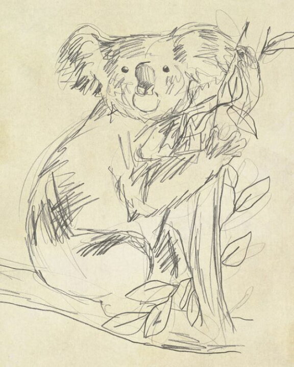 楽天市場 コアラ 動物 イラスト スケッチの壁紙 輸入 カスタム壁紙 Photowall Outback Sketch 貼ってはがせるフリース壁紙 不織布 海外取り寄せのため1カ月程度でお届け 代引き 後払い不可 壁紙屋本舗 カベガミヤホンポ