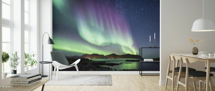 楽天市場 オーロラ 空 星 夜 山 青 ブルーの壁紙 輸入 カスタム壁紙 Photowall Aurora Borealis Northern Lights 貼ってはがせるフリース壁紙 不織布 海外取り寄せのため1カ月程度でお届け 代引き 後払い不可 壁紙 屋本舗 カベガミヤホンポ