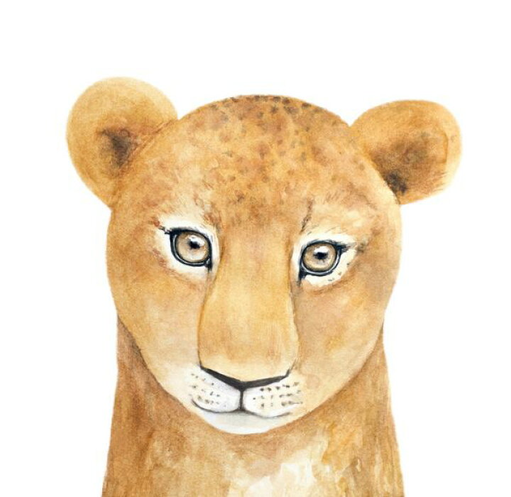 楽天市場 ライオン 動物 イラスト キッズ 子ども部屋の壁紙 輸入 カスタム壁紙 Photowall Lioness Watercolor Portrait 貼ってはがせるフリース壁紙 不織布 海外取り寄せのため1カ月程度でお届け 代引き 後払い不可 壁紙屋本舗 カベガミヤホンポ