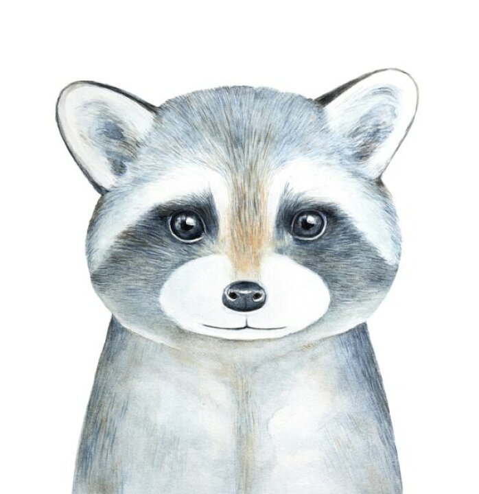 楽天市場 アライグマ 動物 イラスト キッズ 子ども部屋の壁紙 輸入 カスタム壁紙 Photowall Raccoon Watercolor Portrait 貼ってはがせるフリース壁紙 不織布 海外取り寄せのため1カ月程度でお届け 代引き 後払い不可 壁紙 屋本舗 カベガミヤホンポ
