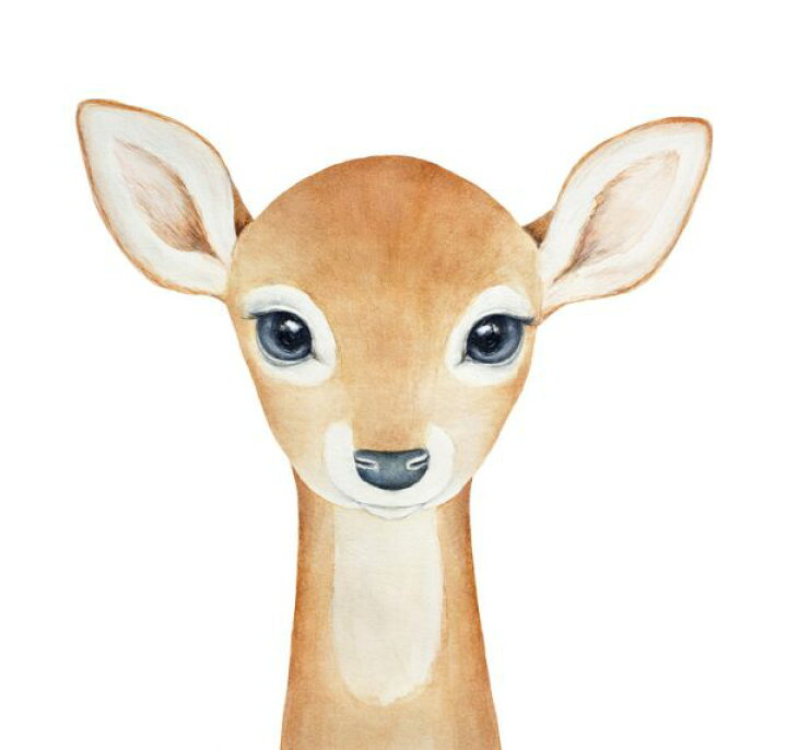 楽天市場 鹿 シカ 小鹿 バンビ イラスト キッズ 子ども部屋の壁紙 輸入 カスタム壁紙 Photowall Baby Deer Portrait 貼ってはがせるフリース壁紙 不織布 海外取り寄せのため1カ月程度でお届け 代引き 後払い不可 壁紙屋本舗 カベガミヤホンポ