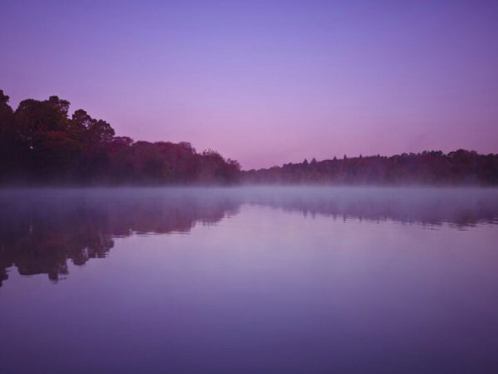 楽天市場 風景 景色 湖 紫 パープルの壁紙 輸入 カスタム壁紙 Photowall Lake 貼ってはがせるフリース壁紙 不織布 海外取り寄せのため1カ月程度でお届け 代引き 後払い不可 壁紙屋本舗 カベガミヤホンポ 楽天市場 風景 景色 湖 紫 パープルの壁紙 輸入 カスタム壁紙 Photowall Lake 貼ってはがせるフリース壁紙 不織布 海外取り寄せのため1カ月程度でお届け 代引き 後払い不可 壁紙屋本舗 カベガミヤホンポ