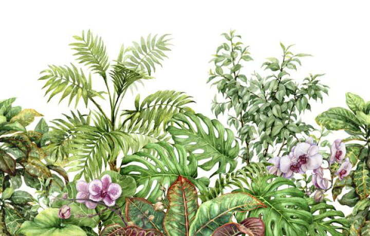 楽天市場 トロピカル ボタニカル 植物 花 イラスト 緑 グリーンの壁紙 輸入 カスタム壁紙 Photowall Tropical Plants 貼ってはがせるフリース壁紙 不織布 海外取り寄せのため1カ月程度でお届け 代引き 後払い不可 壁紙 屋本舗 カベガミヤホンポ