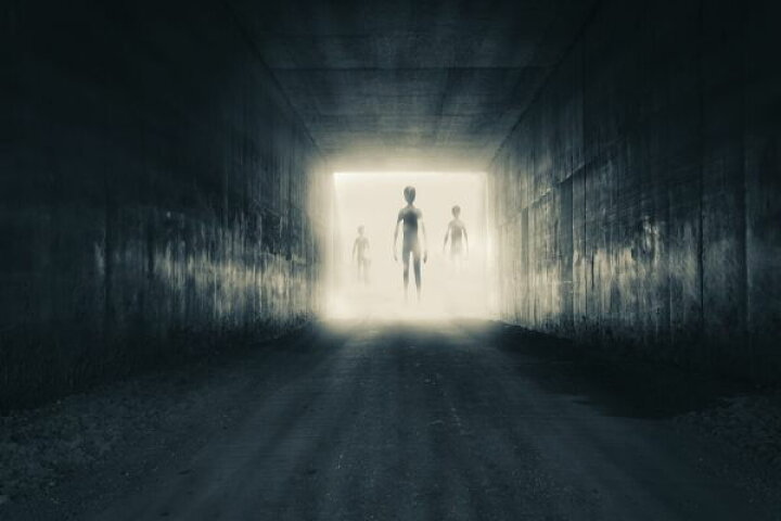 楽天市場 エイリアン 宇宙人 異星人 Sf トンネル 黒 ブラックの壁紙 輸入 カスタム壁紙 Photowall Group Of Aliens 貼ってはがせるフリース壁紙 不織布 海外取り寄せのため1カ月程度でお届け 代引き 後払い不可 壁紙 屋本舗 カベガミヤホンポ