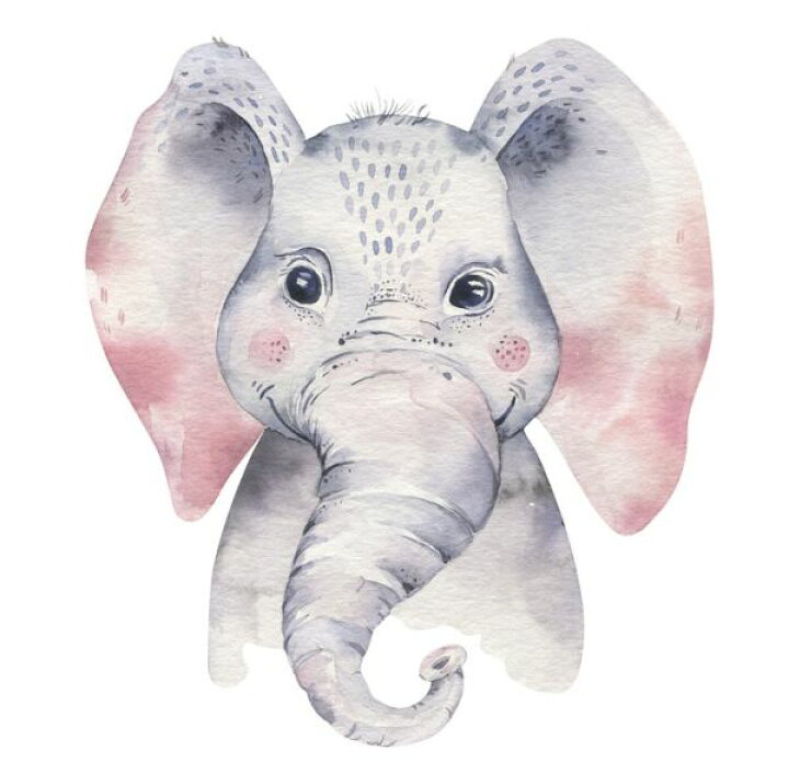 楽天市場 象 ゾウ 動物 イラスト キッズ 子ども部屋の壁紙 輸入 カスタム壁紙 Photowall Baby Elephant 貼ってはがせるフリース壁紙 不織布 海外取り寄せのため1カ月程度でお届け 代引き 後払い不可 壁紙 屋本舗 カベガミヤホンポ