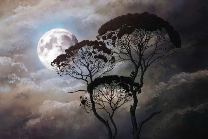 楽天市場 満月 月 空 雲 夜 木の壁紙 輸入 カスタム壁紙 Photowall Tree Silhouette In Full Moon Night 貼ってはがせるフリース壁紙 不織布 海外取り寄せのため1カ月程度でお届け 代引き不可 壁紙 屋本舗 カベガミヤホンポ