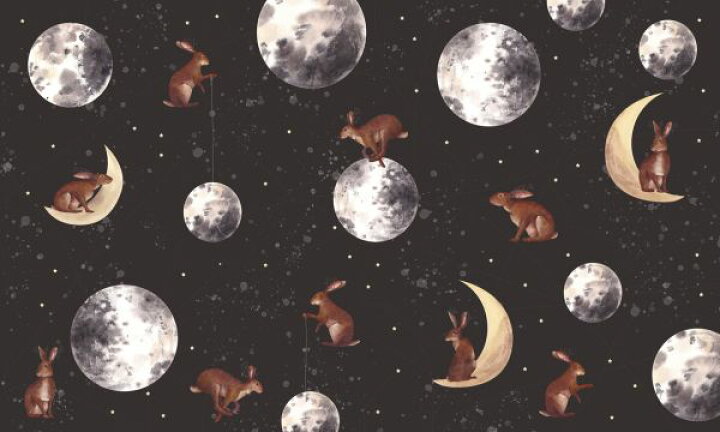 楽天市場 月 ウサギ イラスト キッズ 子ども部屋の壁紙 輸入 カスタム壁紙 Photowall Rabbits On The Moon 貼ってはがせるフリース壁紙 不織布 海外取り寄せのため1カ月程度でお届け 代引き 後払い不可 壁紙 屋本舗 カベガミヤホンポ