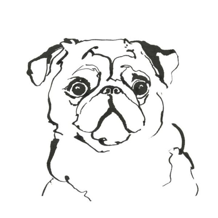 楽天市場 パグ 犬 線画 スケッチ 白 ホワイトの壁紙 輸入 カスタム壁紙 Photowall Line Dog Pug 貼ってはがせるフリース壁紙 不織布 海外取り寄せのため1カ月程度でお届け 代引き 後払い不可 壁紙屋本舗 カベガミヤホンポ